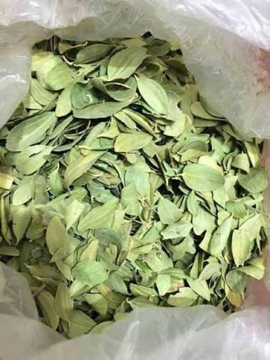 اوراق السدر الصحراوي