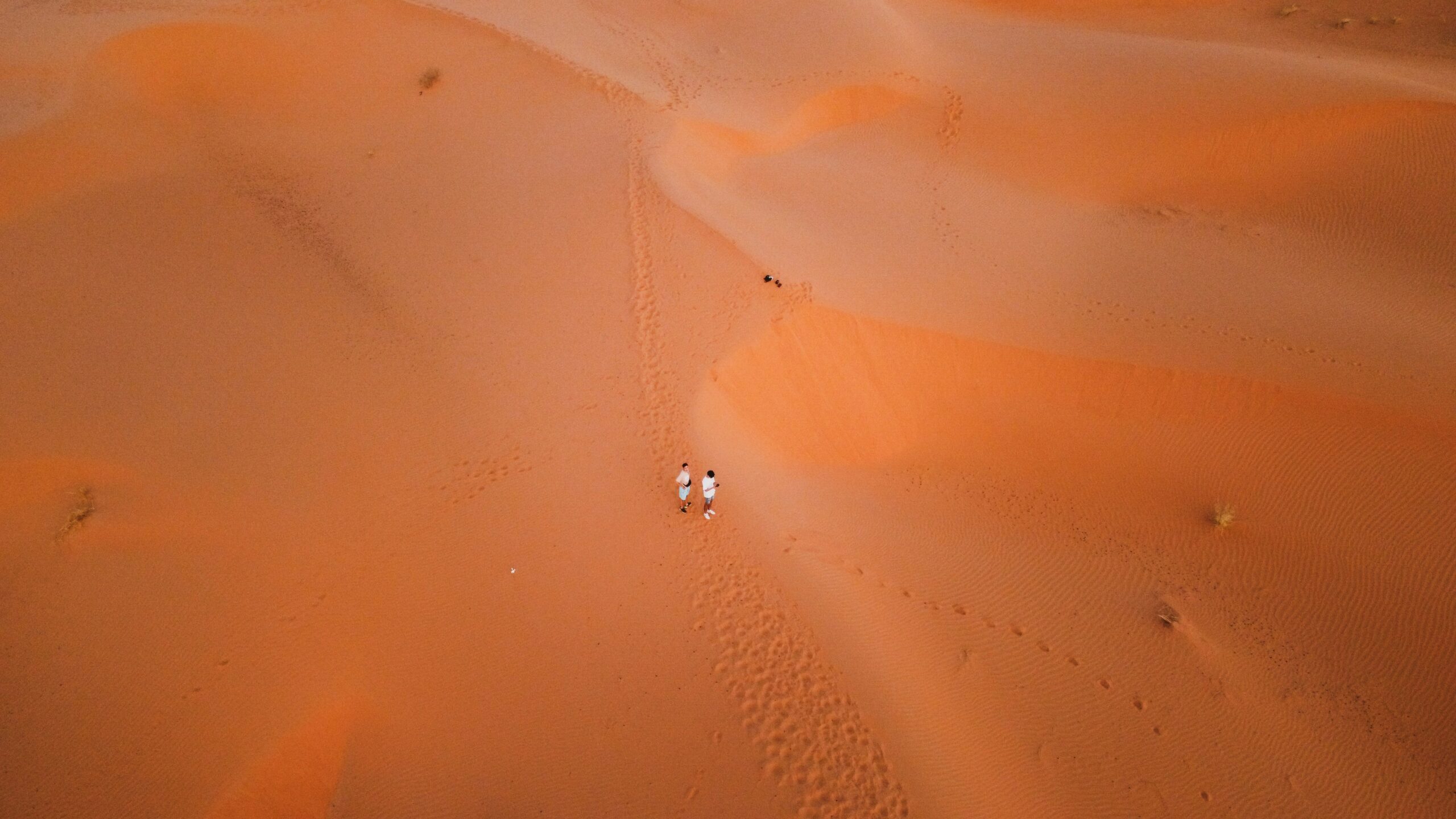 a group of people riding on top of a sandy dune